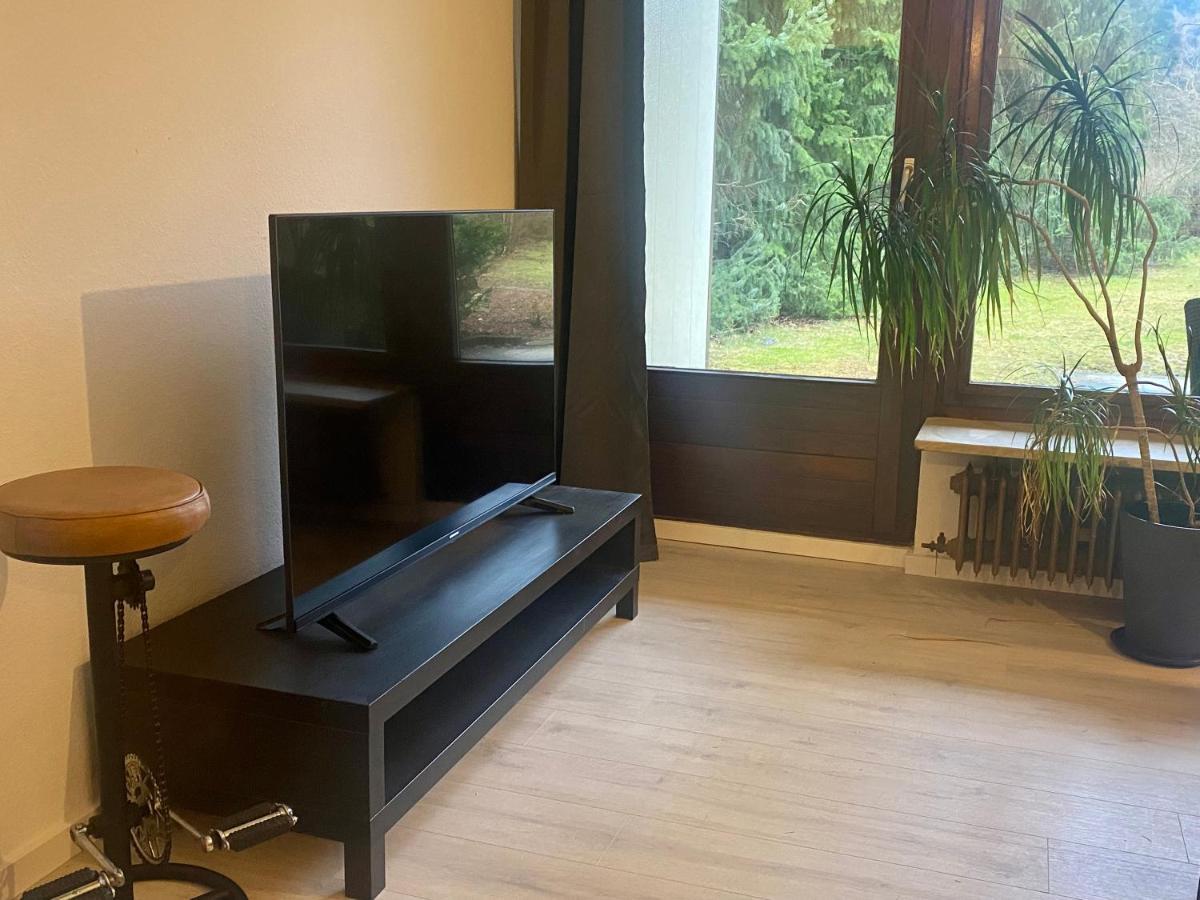 Bocksberg Bungalow Goslar Ngoại thất bức ảnh